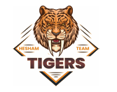 Tiger Boxing logo