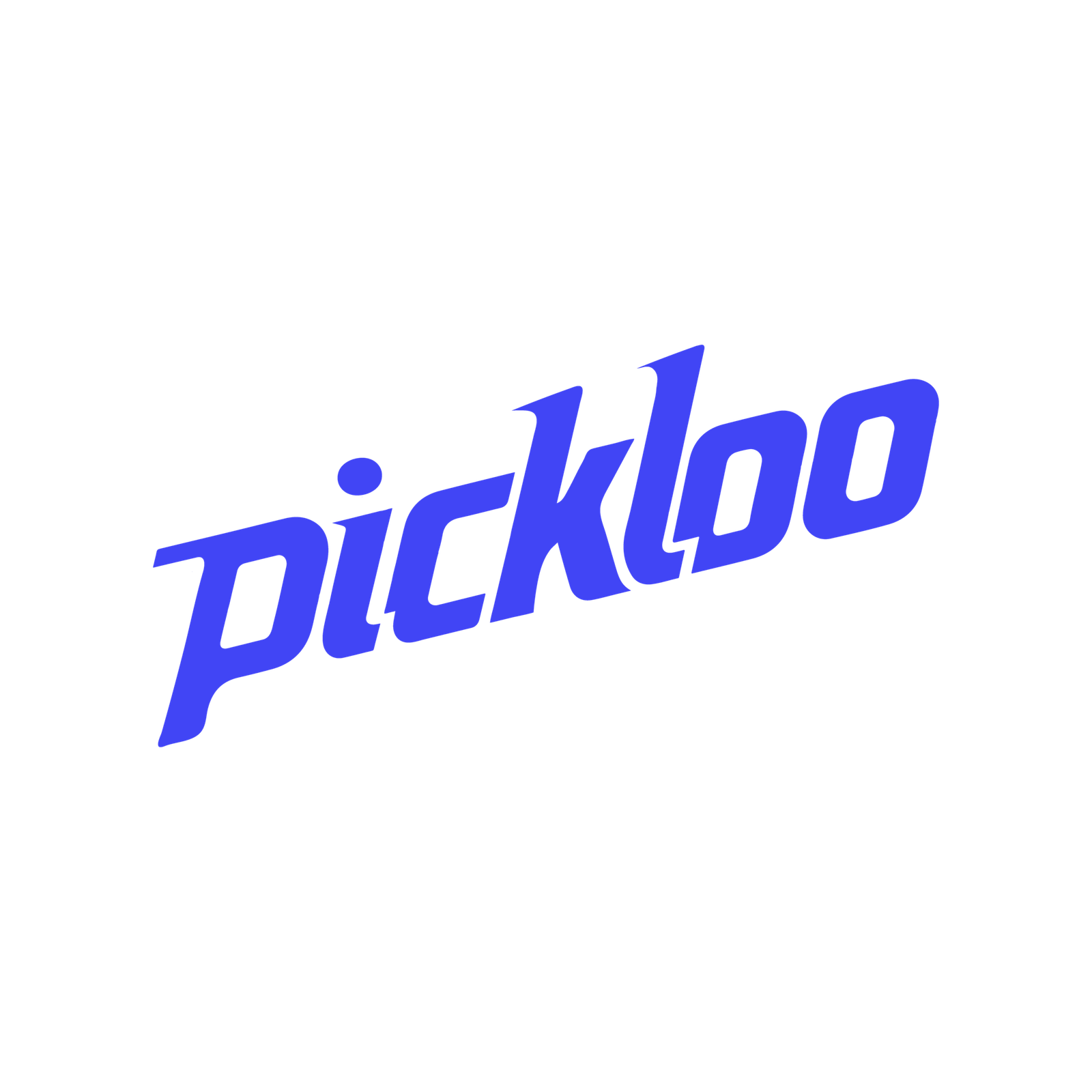 Pickloo Logo-03-01