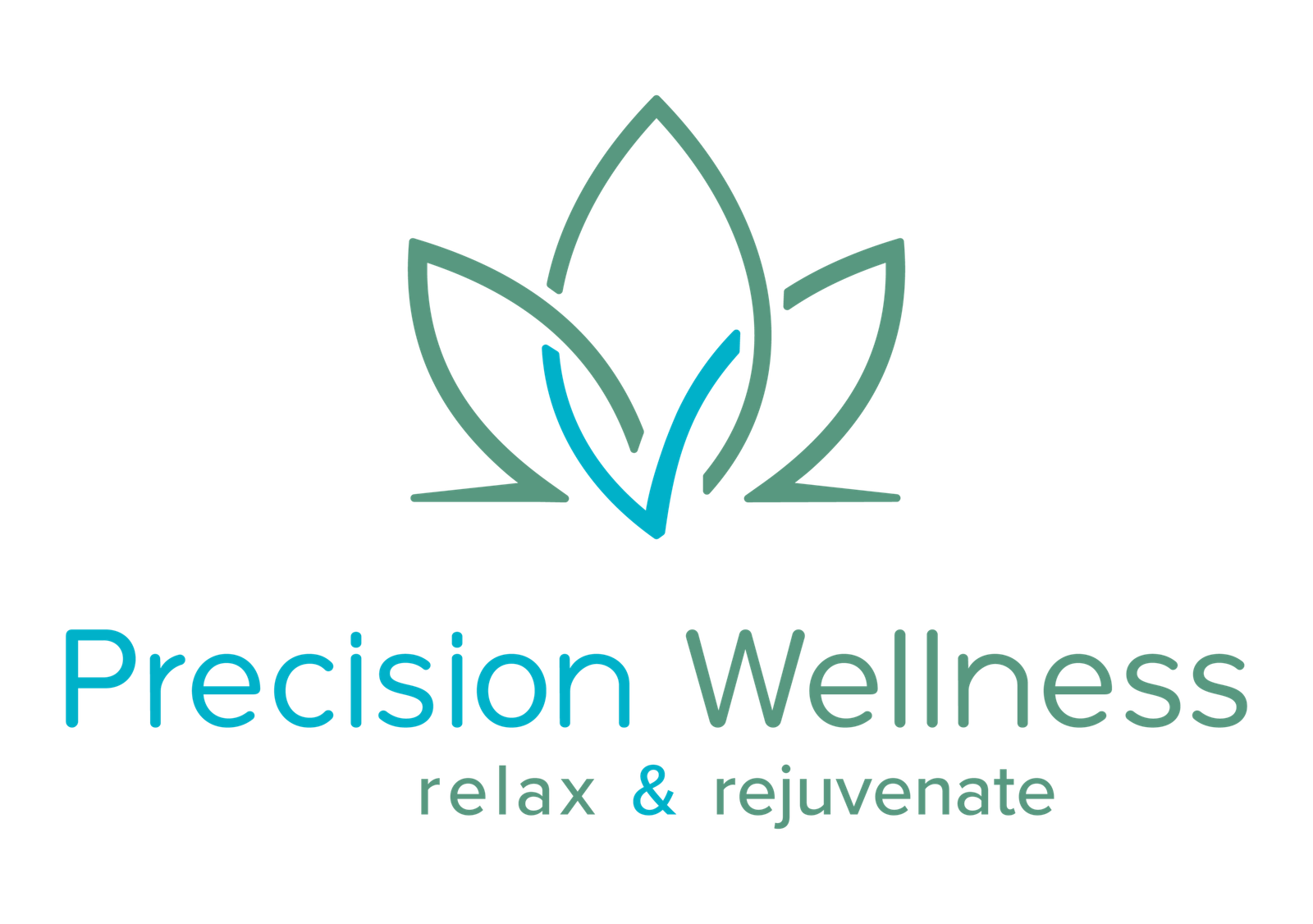 Precision Wellness Logo-01